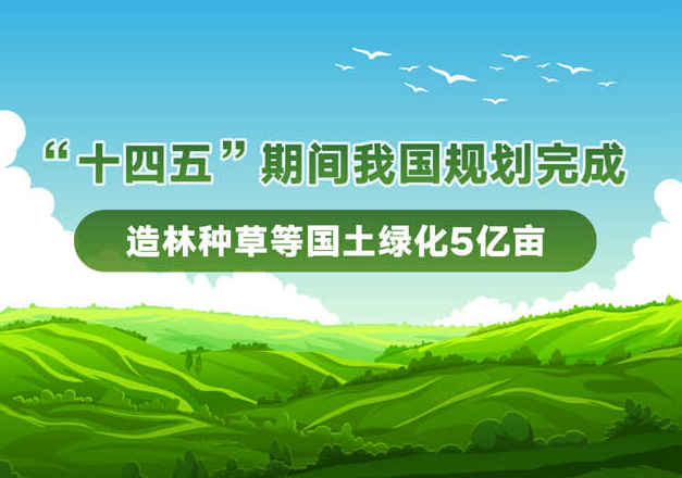 图表：“十四五”期间我国规划完成造林种草等国土绿化5亿亩