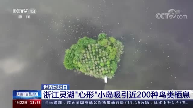 世界地球日 浙江灵湖“心形”小岛吸引近200种鸟类栖息