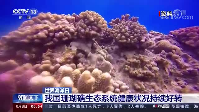 世界海洋日 我国珊瑚礁生态系统健康状况持续好转